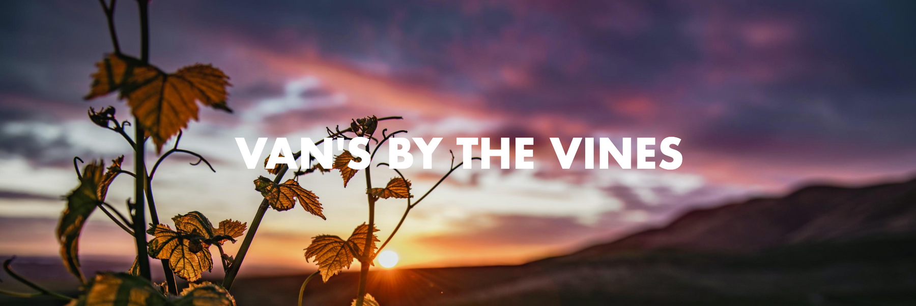 Vans by the Vines