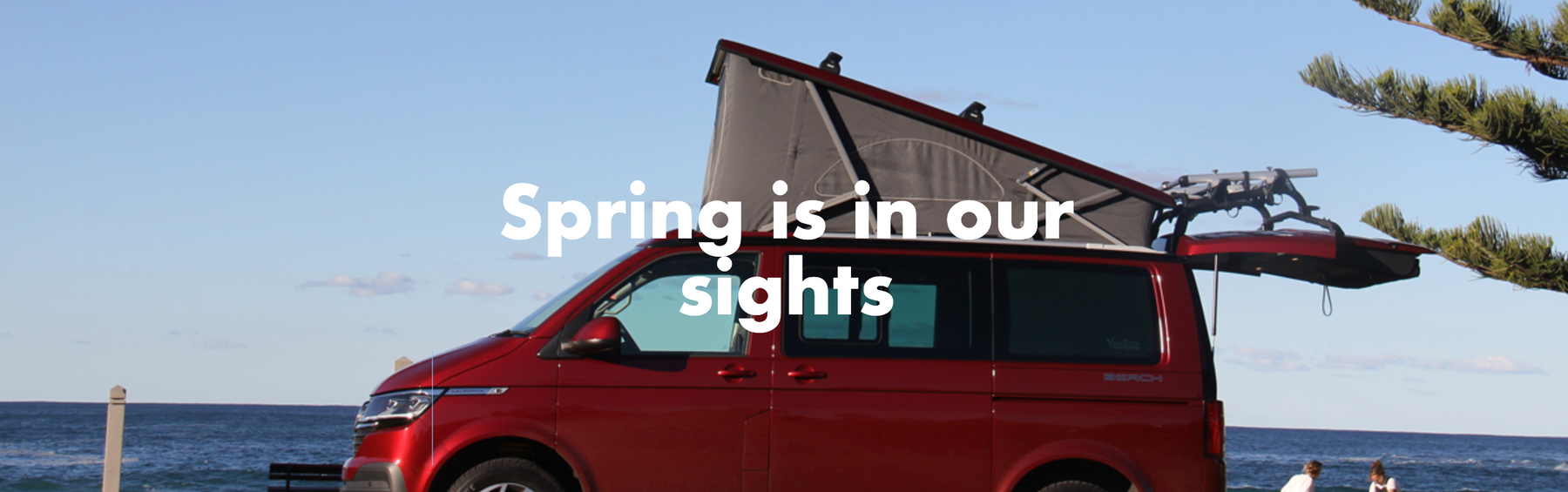Spring is in our sights