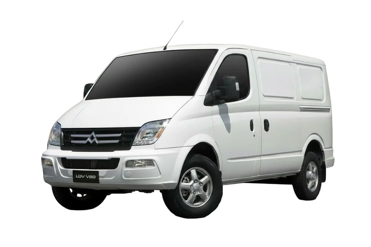 LDV V80