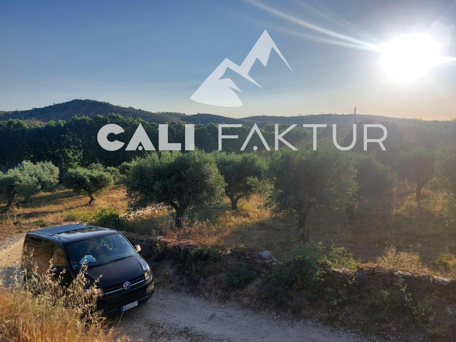 310w Solar Panels  - Semi Flexible & Removable for VW Multivan T5/T6/T6.1