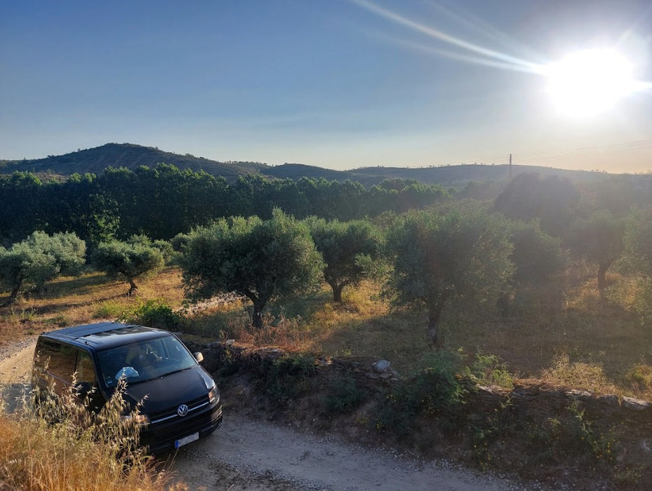 310w Solar Panels  - Semi Flexible & Removable for VW Multivan T5/T6/T6.1