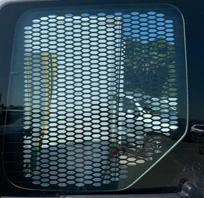 Renault Master Rear Door Window Guard Set (Set of 2)